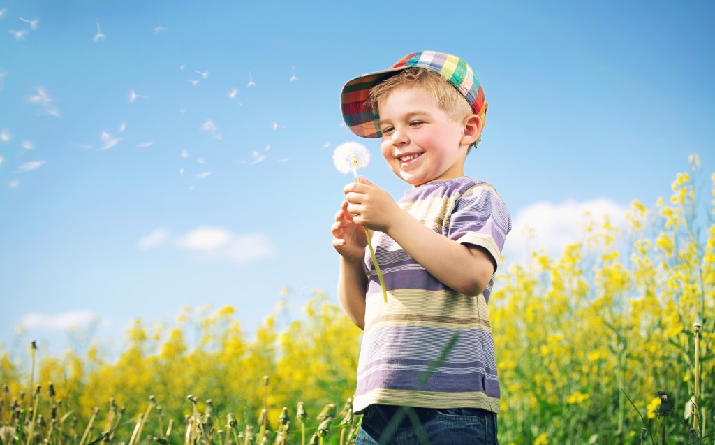 Colorful picture of child playing dandelion
